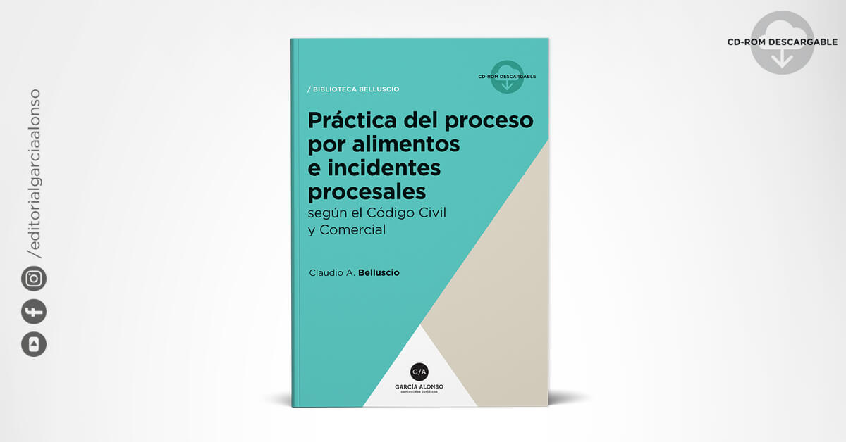 Práctica Proceso Alimentos e incidentes. Modelos. Belluscio