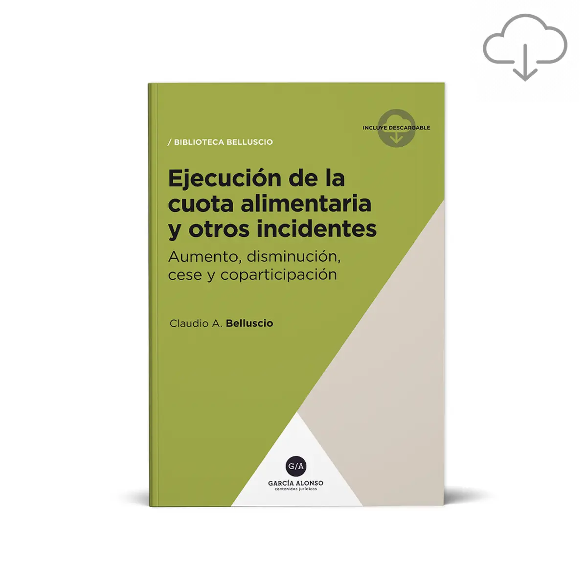 belluscio ejecucion de la cuota alimentaria y otros incidentes / libro