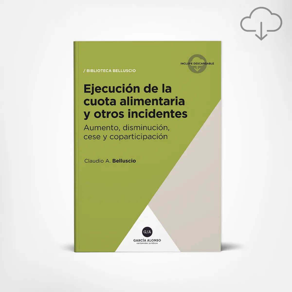 belluscio ejecucion de la cuota alimentaria y otros incidentes / libro